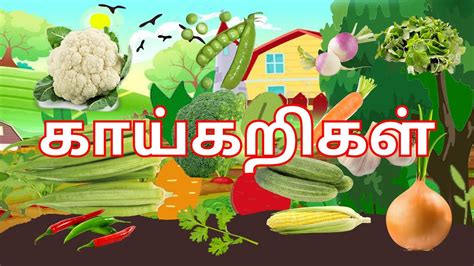 Learn Vegetables names in Tamil with plants கயகறகள சட கட