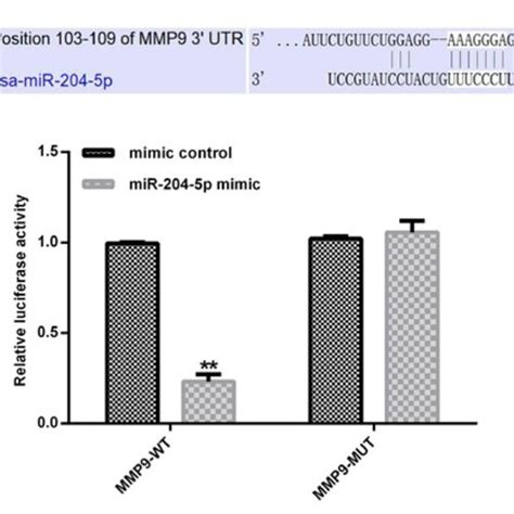 The Low Expression Of Mir P In Atherosclerotic Tissues And