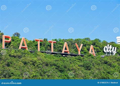 Pattaya City sign stock photo. Image of city, forest - 37883276