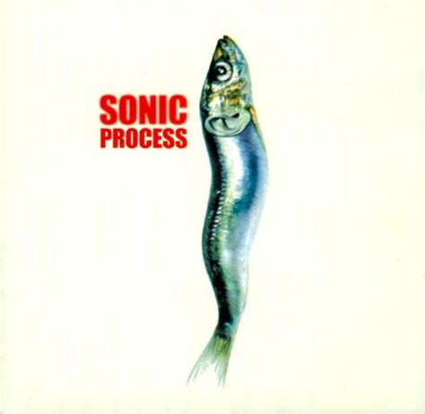 Sonic Process By Various Artists Compilation Milan