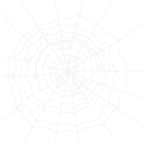 Download Cobweb Spider Web Hd Transparent Png