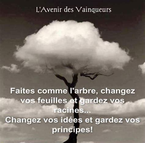 Faites Comme L Arbre Wise Words Quotes Words Of Wisdom Instagram