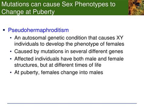 Ppt Chp Development And Sex Determination The Human