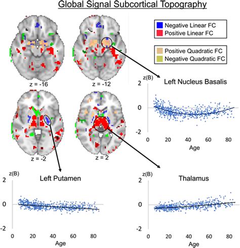 Systematic Cross Sectional Age Associations In Global Fmri Signal