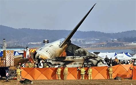 濟州航空空難 務安機場早被警告鳥擊風險高！選址政治考量惹爭議 全球 Nownews今日新聞