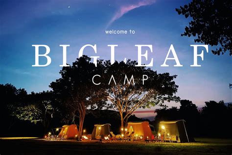 BigLeaf Camp whatthecamp ระบบจองลานกางเตนท คนหาลานกางเตนท