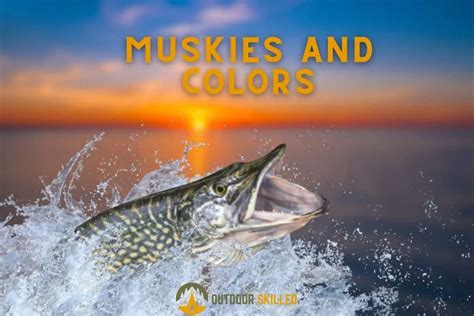 Are There Muskies In Alum Creek Alum Creek Muskie Fishing Guide