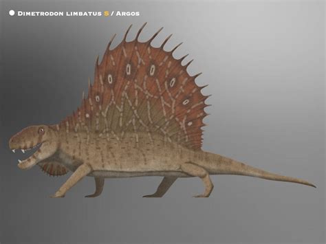 Dimetrodon Limbatus S Paleohistoric By Paleohistoric On Deviantart