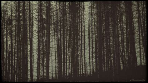 Ghost Forest by TheWrendilo on DeviantArt