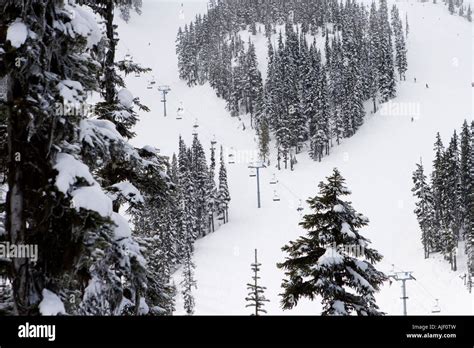 skiing in Whistler BC Stock Photo - Alamy