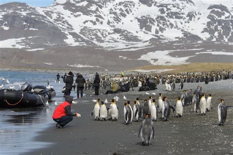 Premium Photo | Tourists in antarctica