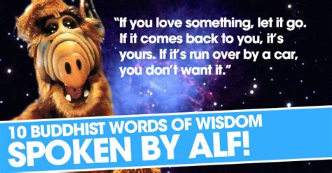 Funny Alf Quotes. QuotesGram