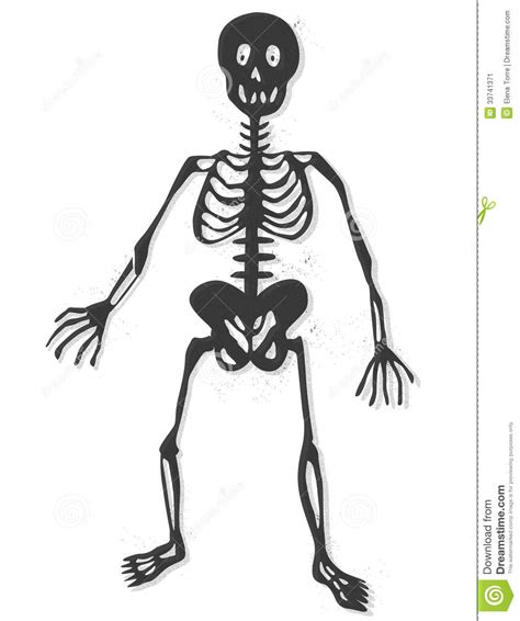 Human Bones Clipart | Free download on ClipArtMag