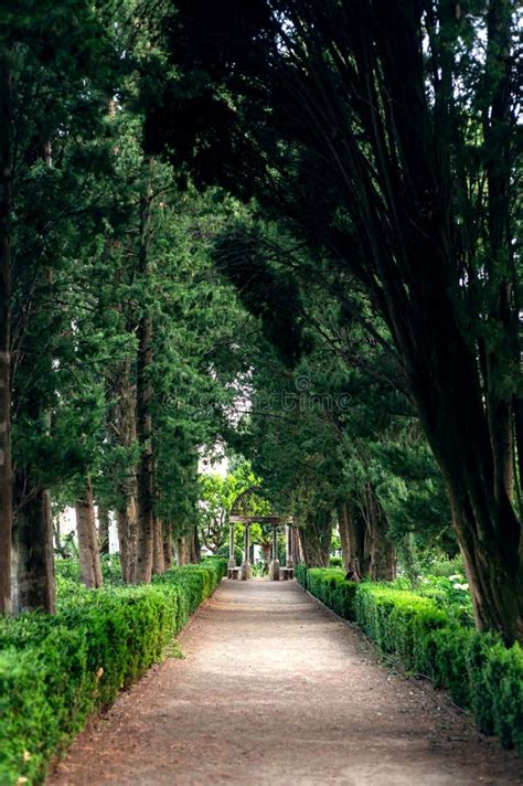 Shady And Cozy Historic Garden Of Villa Cimbrone In The Village Of