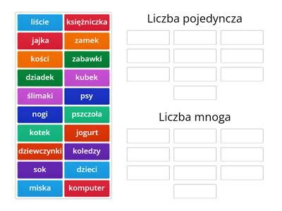 Liczby Mnoga i pojedyncza Materiały dydaktyczne