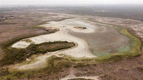 El acuífero de Doñana empeora y 9 de sus 16 zonas están en estado de