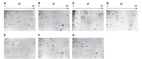 Figure From Comparative Secretomics Reveals Novel Virulence