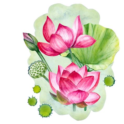 Premium Vector Hand Drawn Bouquet Of Lotus Flowers Leaves Buds And