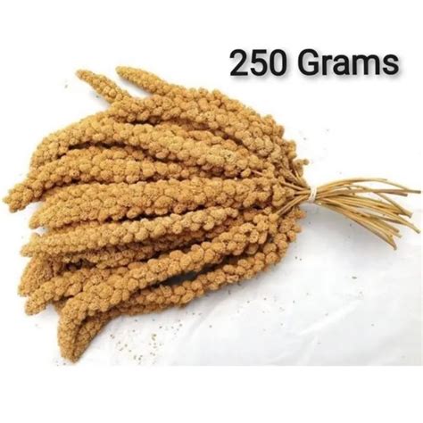 G2yz84nl Millet Spray 250grams Select From Red Or Yellow Millet Bird