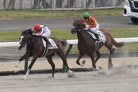 【札幌新馬戦】ナチュラルライズ 6馬身差で圧勝横山武「大きいところを狙っていける」― スポニチ Sponichi Annex ギャンブル