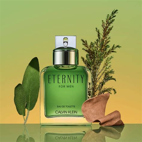 Eternity for Men Eau de Parfum Calvin Klein Cologne - ein neues Parfum ...