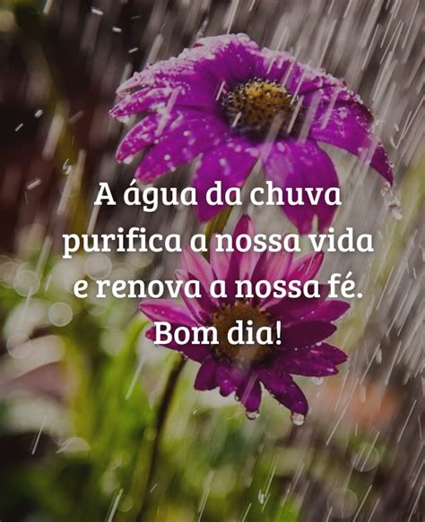 Bom Dia Com Chuva E Flores - Frases de Bom dia com Chuva para Curtir e Animar esse Dia Frio