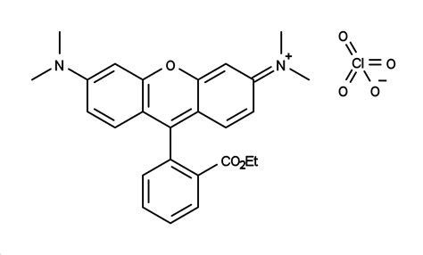 TMRE Tetramethylrhodamine Ethyl Ester CAS 115532 52 0 AAT Bioquest