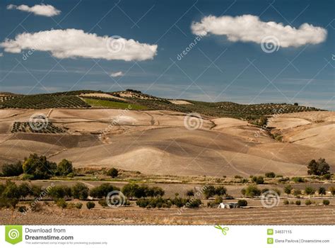 The Landscape Of Andalusia Stock Image Image Of Meadow