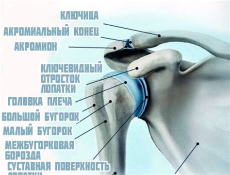 ДВИЖЕНИЕ ЭТО ЖИЗНЬ после перенесенного инсульта