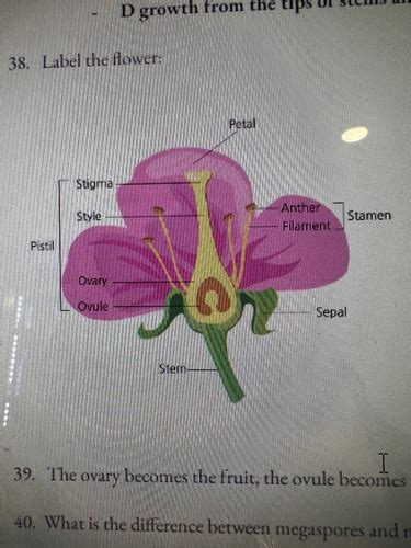 BIO 112 Exam 3 Flashcards Quizlet