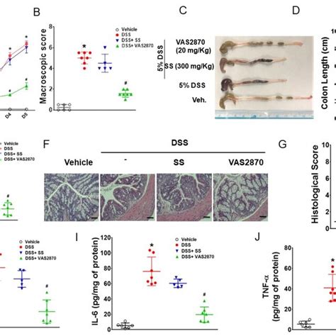 Vas Inhibited Dss Induced Colitis In Ampk Lysm Mice But Sodium