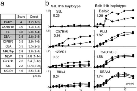 The BALB C Allele At IL 1b Confers High Responsiveness To Arthritis