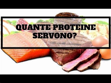 QUANTE PROTEINE SERVONO YouTube