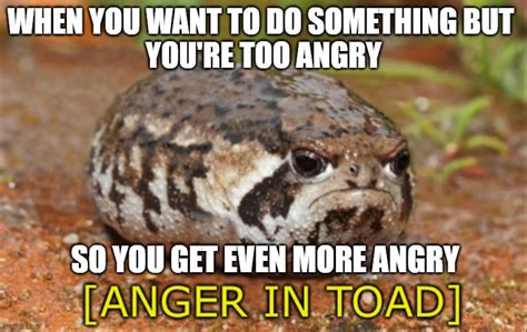 Anger in toad Latest Memes - Imgflip