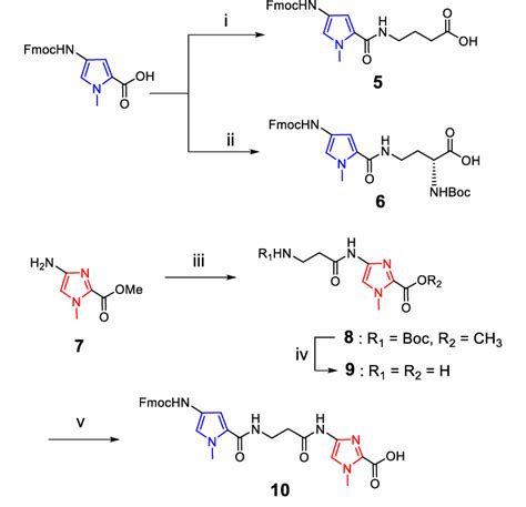 Scheme 1. Reagents and conditions: (i) HCTU, DIEA, DMF, and then a ...