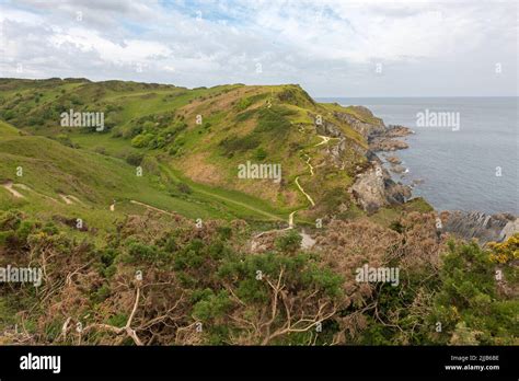 South West Coast Path And Tarka Trail Between Ilfracombe And Woolacombe