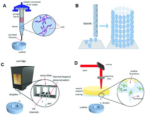 Modalities For Bioprinting Technologies A Extrusion Based