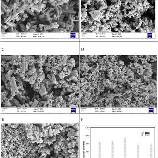 Surface Morphology For Zeolite And Zno Nps Entrapped With Zeolite