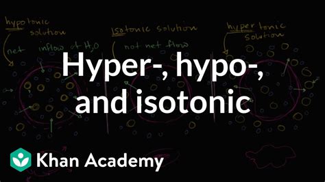 Hypotonic Isotonic And Hypertonic Solutions Tonicity Khan Academy