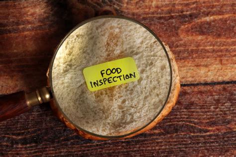 Food Inspection Stock Photo Image Of Bread Inspection 146435326