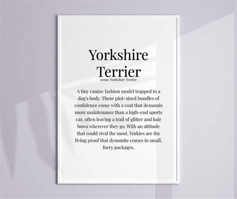 Yorkshire Terrier Definition Print Yorkshire Terrier Poster Yorkshire