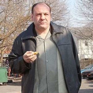 Perfect Your Tony Soprano Costume This Halloween!