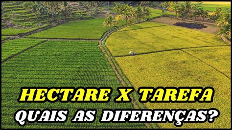 1 Hectare Sao Quantas Tarefas Na Bahia