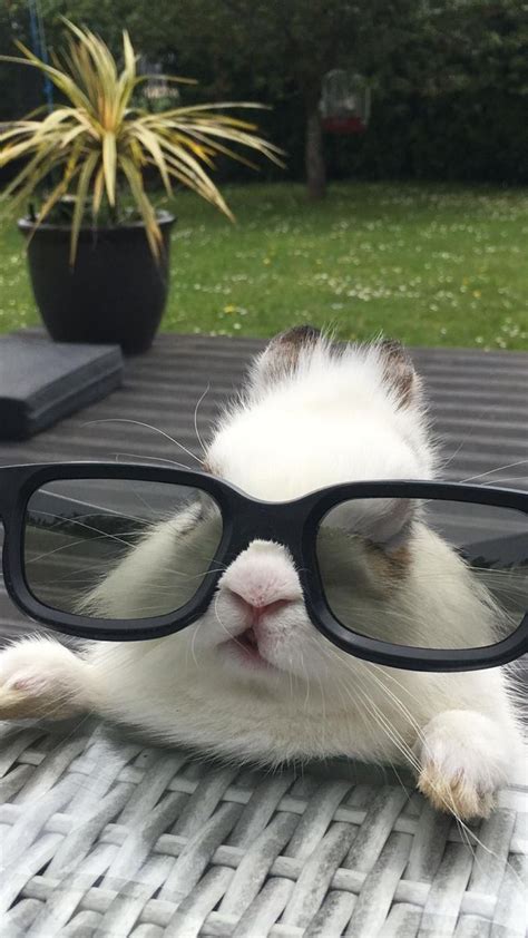 Пин от пользователя Victoriya Malishkina на доске День рождения ...