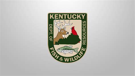 Kentucky Fish and Wildlife debuts crime-fighting app - WNKY News 40 ...