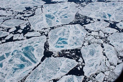 Record Amount Of Plastic Pollution Found Trapped In Arctic Sea Ice