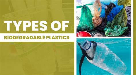 A Guide To The Different Types Of Biodegradable Plastics