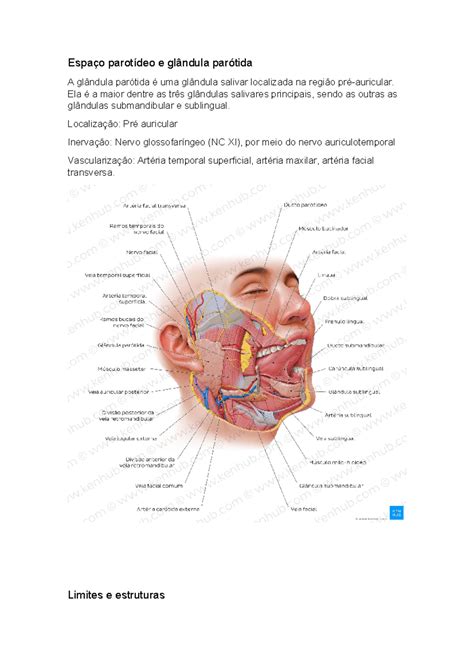 Resumo glandula parotida Espaço parotídeo e glândula parótida A