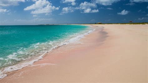 The Enchanting World of Pink Sand Beaches: A Unique Coastal Wonder ...