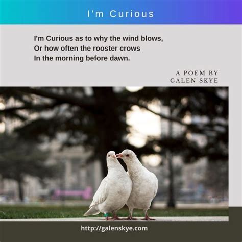 Poem Im Curious Galen Skye Poems Curious Weird World